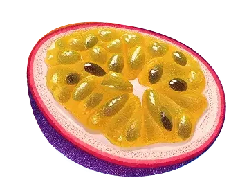 Image d'un fruit du dragon