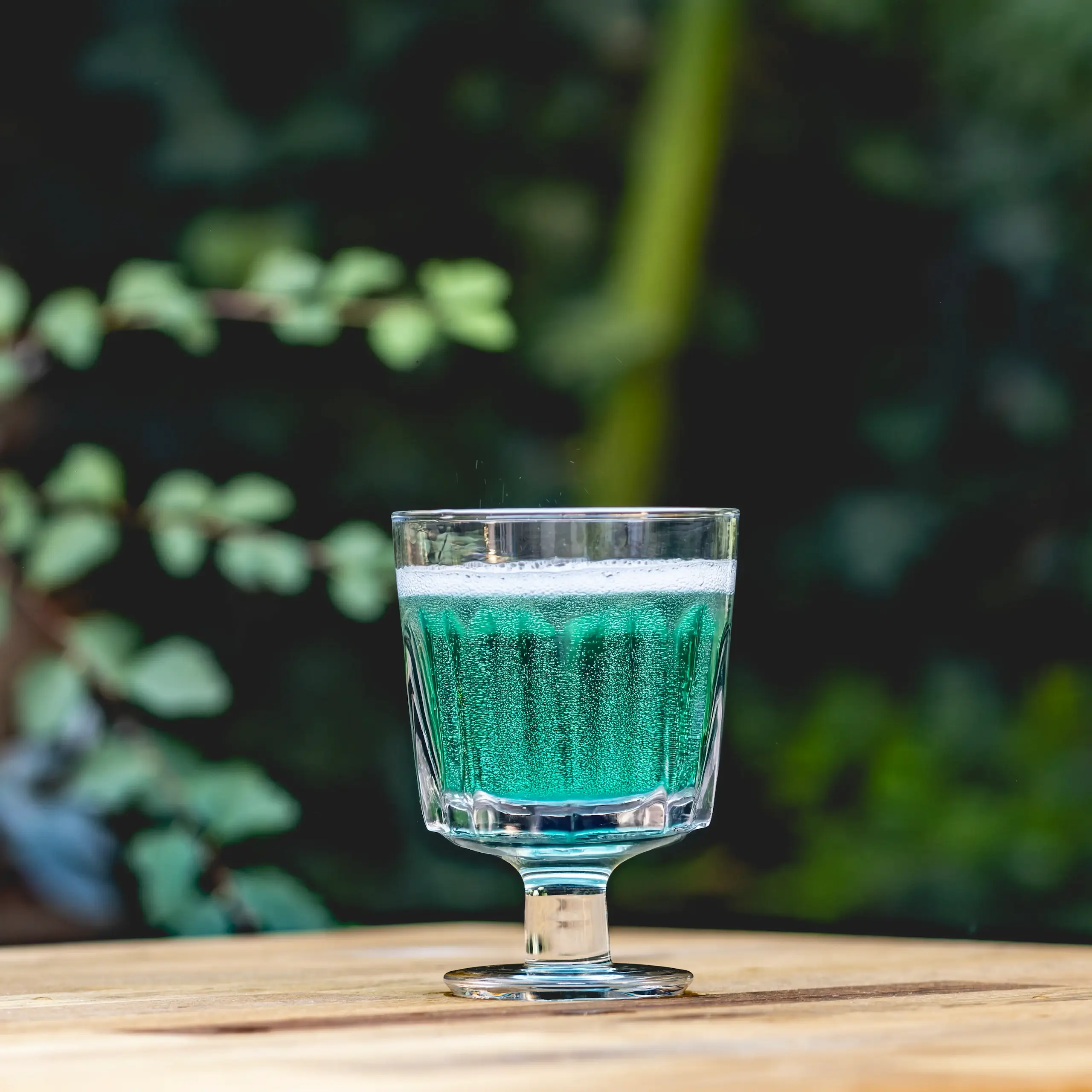 boisson énergisante baies sauvages